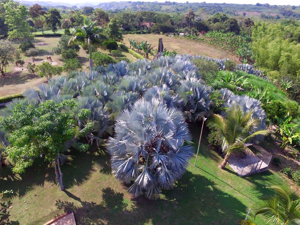 Casa De Campo Sao Paulo La Tebaida Exterior photo